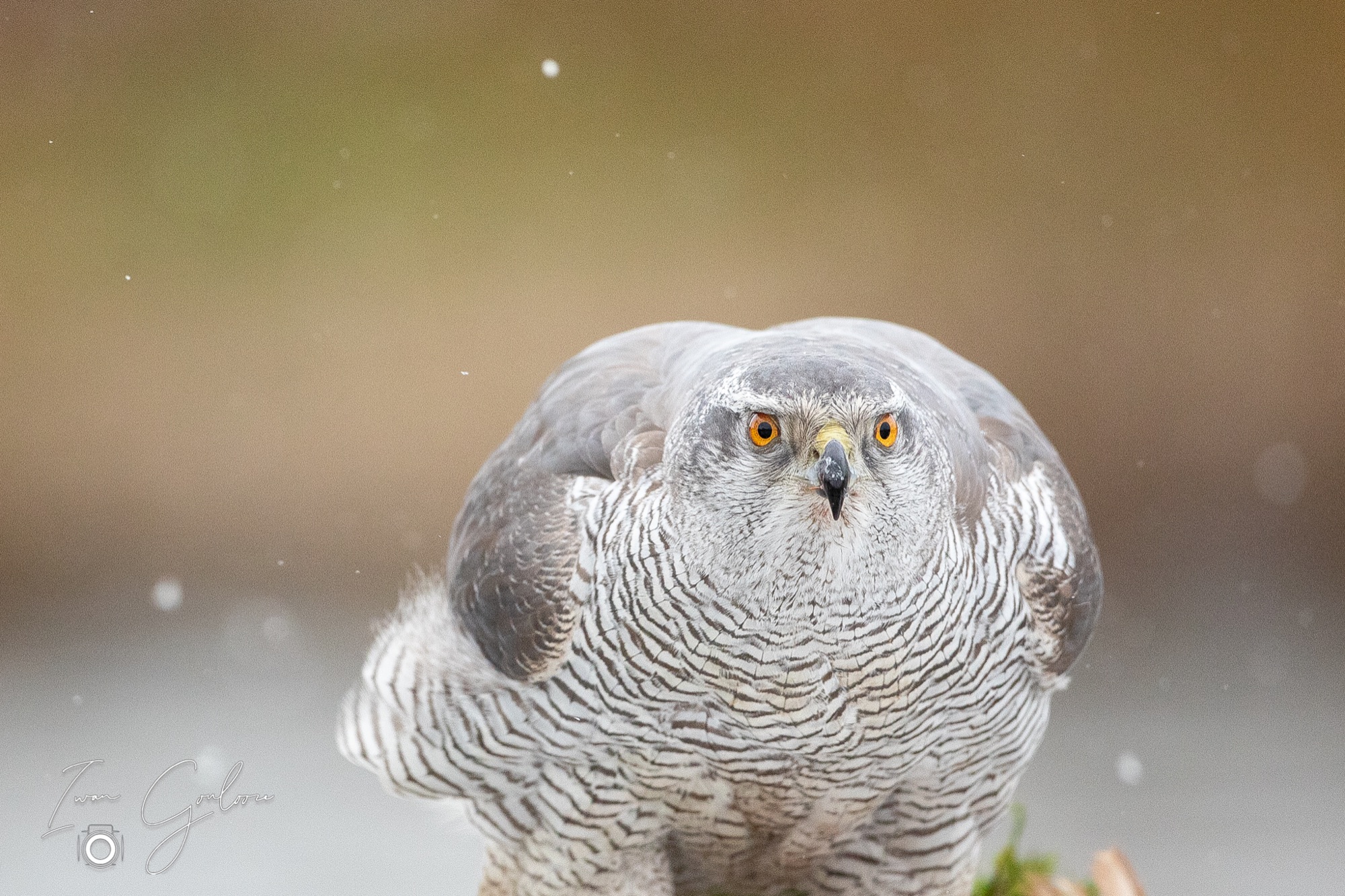 01 april 2022 124918  5D45785